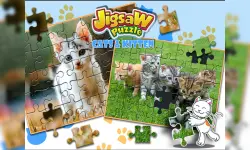 Jigsaw Puzzle Cats amp; Kitten image